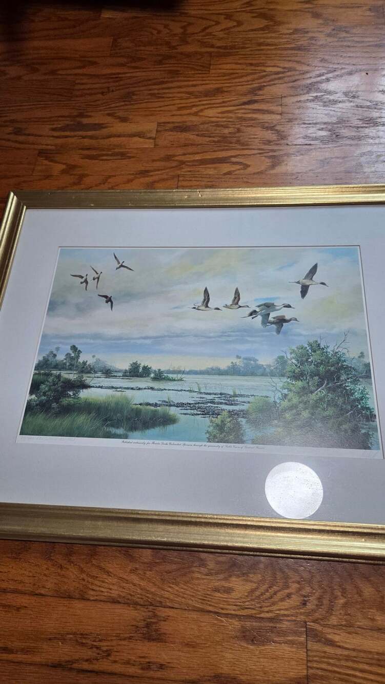 Florida Ducks Unlimited Executive Edition Print Signed by Binks 25/400 Framed